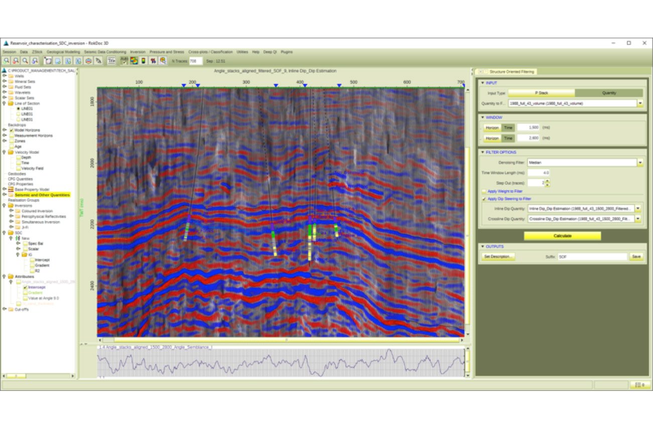 rokdoc-reservoir-characterization-advanced-sdc